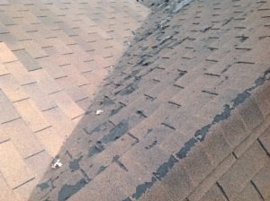 Roof Leak Sample